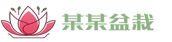 万博·max(中国游)体育官方网站-Unique Platform
